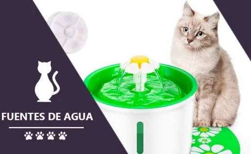 Fuentes de agua para gatos: que tu mascota esté siempre hidratada